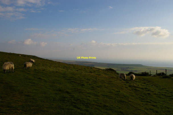 Photo 6"x4" View south-east off Limerstone Down Moortown\/SZ4283 c2015