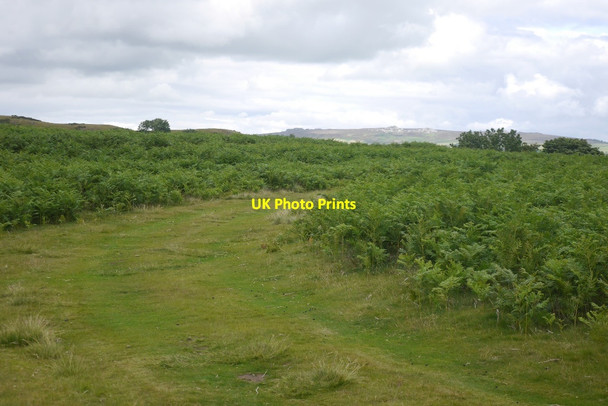 Photo 6"x4" Stapeley Hill White Grit c2015