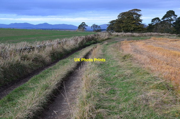 Photo 6"x4" Track from Middleton Falahill c2015