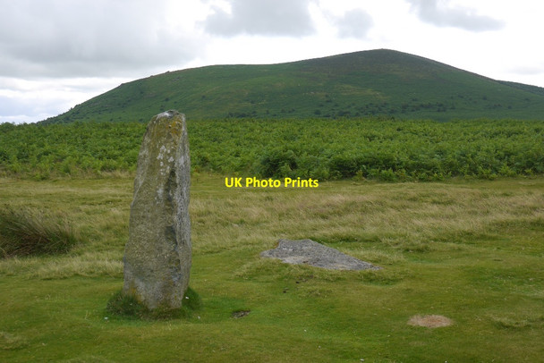 Photo 6"x4" The tallest stone, Mitchell's Fold White Grit c2015