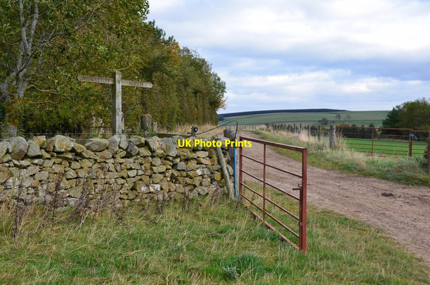 Photo 6"x4" Track from Falahill farm Falahill c2015
