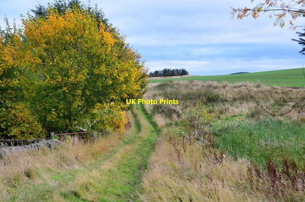 Photo 6"x4" Track at Cow Bridge Falahill c2015