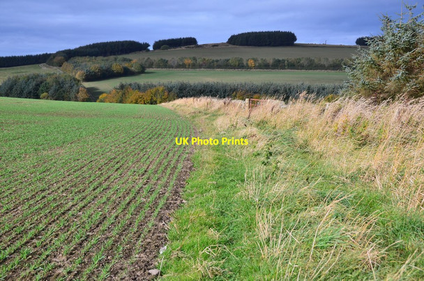 Photo 6"x4" Field path near Falahill Falahill c2015