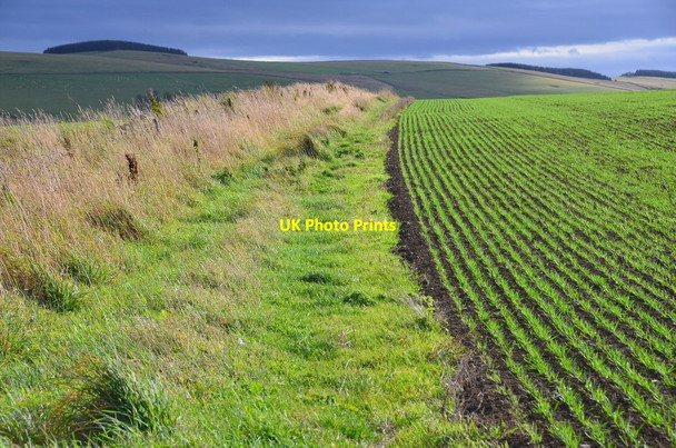 Photo 6"x4" Path to Heriot Falahill c2015