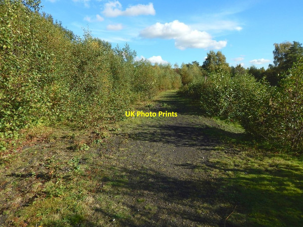 Photo 6"x4" Dalquhurn Point: former course of railway track Dumbarton c2015