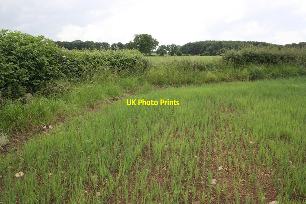Photo 6"x4" Corner of field beside Cowling Lane Burrill c2015