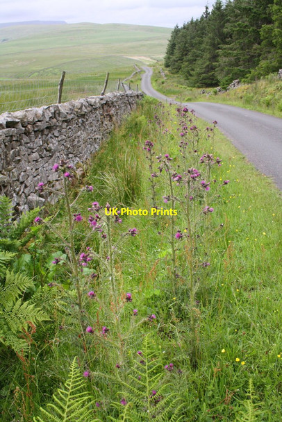 Photo 6"x4" Coal Road towards Garsdale at Edwin's Fell Garsdale Head c2015