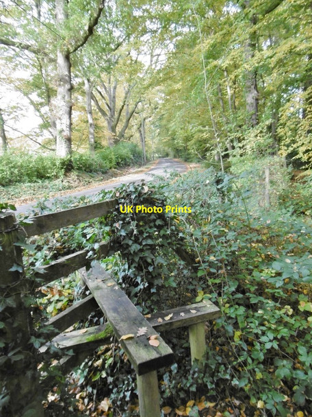 Photo 6"x4" Netley Marsh, stile Bartley c2015