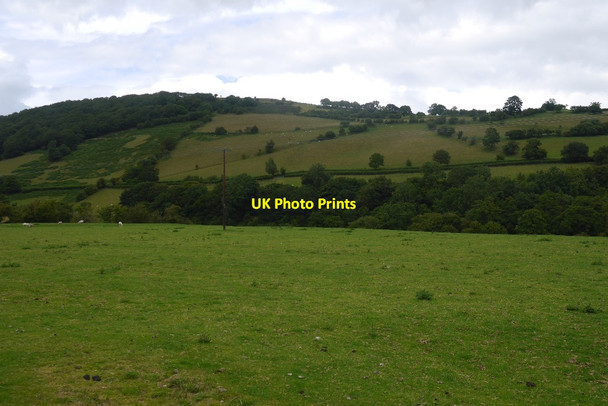 Photo 6"x4" Field beside the Teme Dutlas c2015
