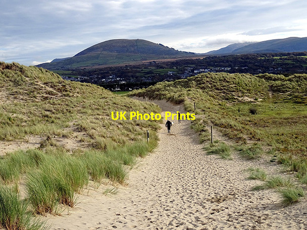 Photo 6"x4" The path to Dyffryn Llanenddwyn c2015