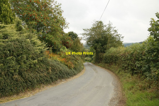 Photo 6"x4" Back to the B4594 Llanbedr\/SO1446 c2015