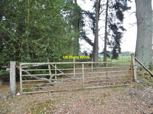 Photo 6"x4" Blackhill, gate Blackhill\/SU3018 c2015