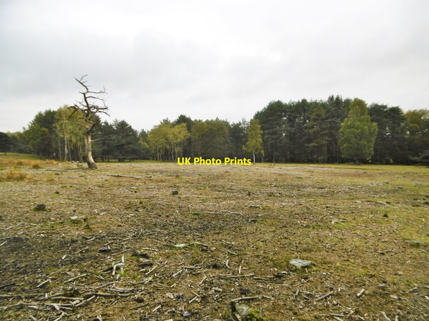 Photo 6"x4" Blackhill, clearing Blackhill\/SU3018 c2015