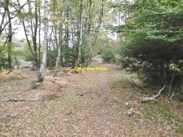 Photo 6"x4" Blackhill, path Blackhill\/SU3018 c2015