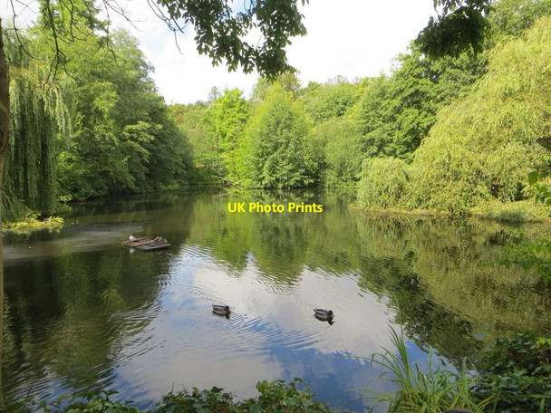 Photo 6"x4" Pond at Waterlow Park Hampstead\/TQ2685 c2015