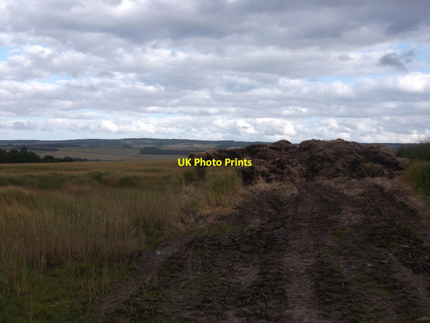 Photo 6"x4" Dung heap, Lemlar Ardullie c2015
