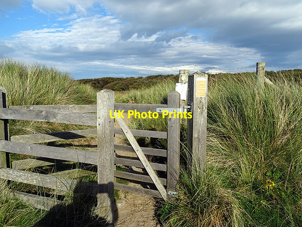 Photo 6"x4" Tir Gofal path through the dunes at Morfa Dyffryn Llanddwywe c2015