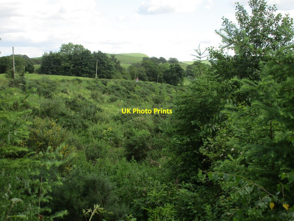 Photo 6"x4" Scroggs Cleuch South Corrielaw c2015