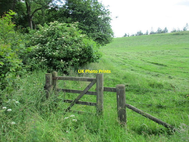 Photo 6"x4" Gate into a field near Scalescleuch Bridge South Corrielaw c2015