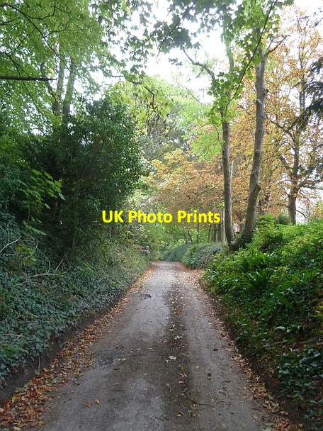 Photo 6"x4" Combe Lane, Bratton Bratton\/ST9152 c2015