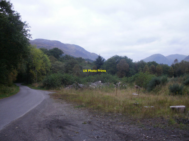 Photo 6"x4" Rough ground and woodland by the Elleric road Fasnacloich c2015