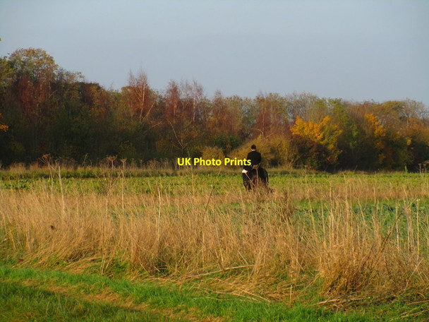 Photo 6"x4" Lone huntsman Welbourn c2015