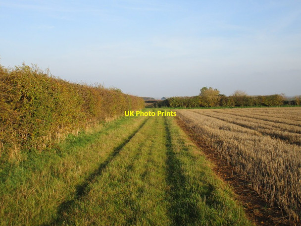 Photo 6"x4" Field edge near Cocked Hat Plantation Welbourn c2015