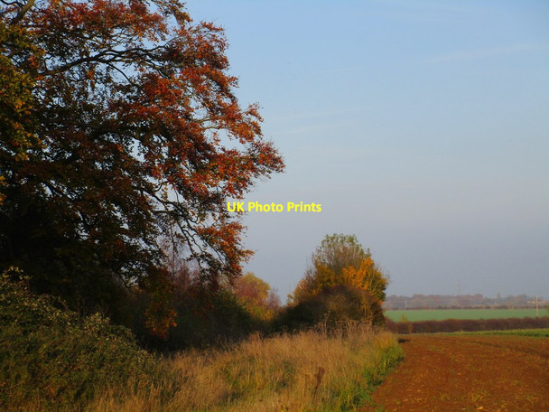 Photo 6"x4" Alongside Cocked Hat Plantation Welbourn c2015