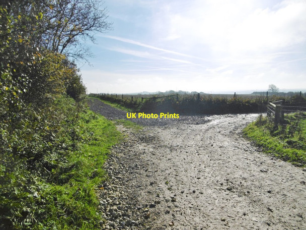 Photo 6"x4" Up Sydling, bridleway Junction Up Sydling c2015