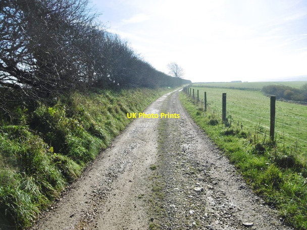 Photo 6"x4" Up Sydling, bridleway Up Sydling c2015