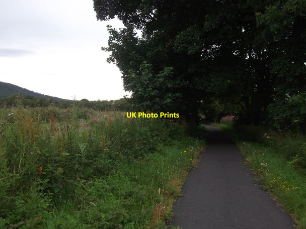 Photo 6"x4" Cycle path, Evanton to Alness Evanton\/Baile-Eoghain c2015