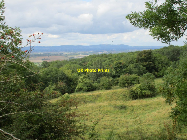 Photo 6"x4" Woodland and the Malvern Hills Bredon's Norton c2015