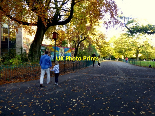 Photo 6"x4" Botanic Gardens, Belfast Belfast c2015