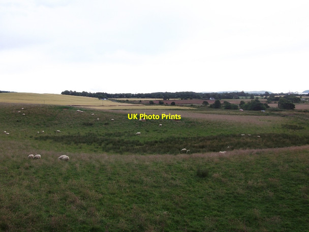 Photo 6"x4" Farmland by Alness Alness c2015