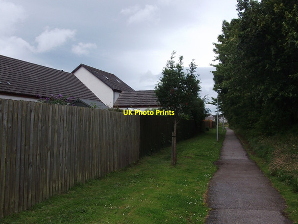 Photo 6"x4" Birch Place Tain\/NH7881 c2015