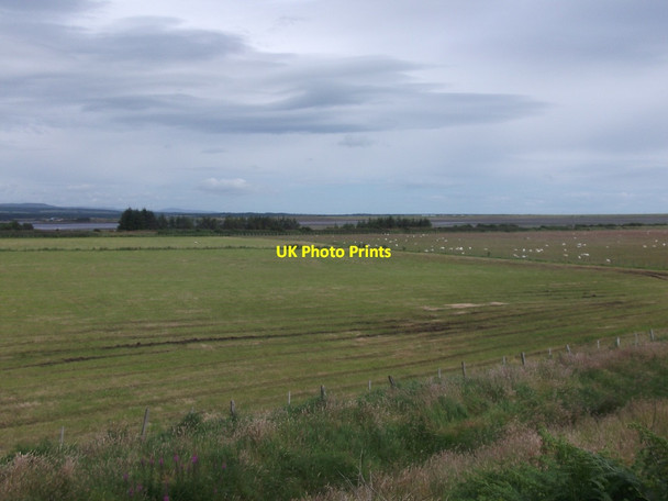 Photo 6"x4" Carse land, Edderton Edderton c2015