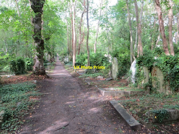 Photo 6"x4" Well Worn Path Camden Town c2015