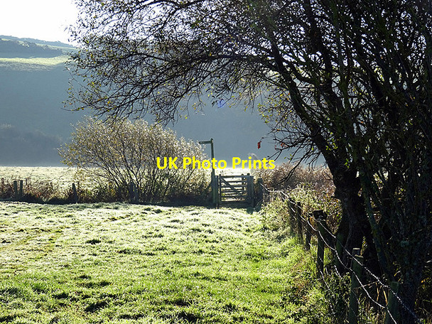 Photo 6"x4" Gate on the path Borth c2015