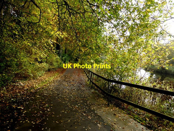 Photo 6"x4" Highway to Health Path Omagh c2015