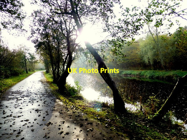 Photo 6"x4" Autumn shadows, Mullaghmore Omagh c2015