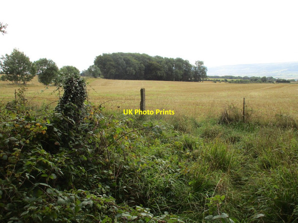 Photo 6"x4" View towards a former quarry Bredon's Norton c2015