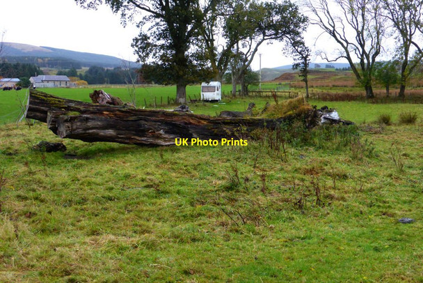 Photo 6"x4" Paddock at Peelhill Drumclog c2015