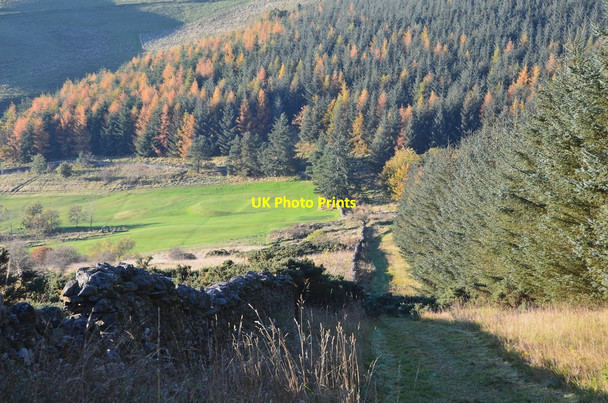 Photo 6"x4" Path down to the Ladhope Burn Galashiels c2015