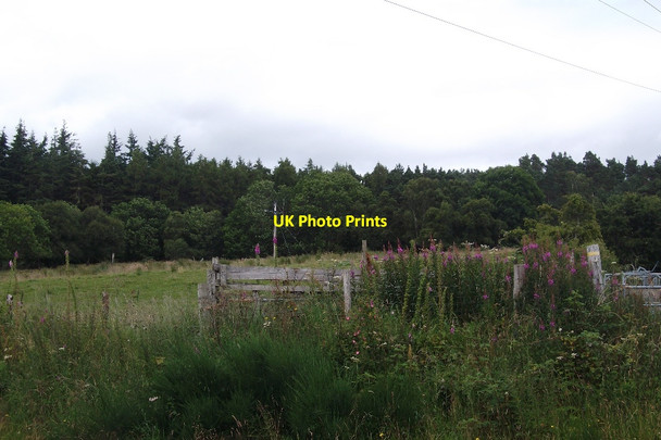 Photo 6"x4" Tulloch by Bonar Bridge Tulloch\/NH6192 c2015