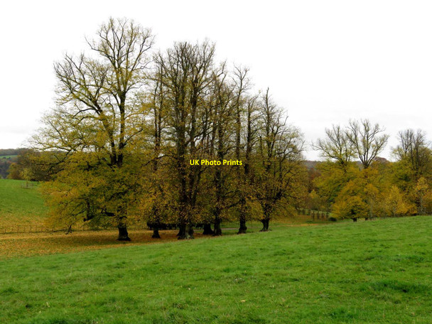 Photo 6"x4" Basildon Park Lower Basildon c2015