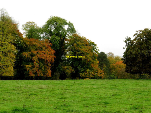 Photo 6"x4" Basildon Park Lower Basildon c2015 P1