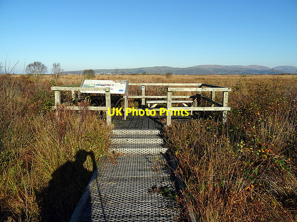 Photo 6"x4" Observation platform on The Great Bog Staylittle c2015