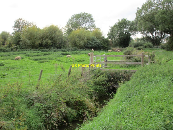 Photo 6"x4" Drain alongside Ryall's Lane Shepherd's Patch c2015