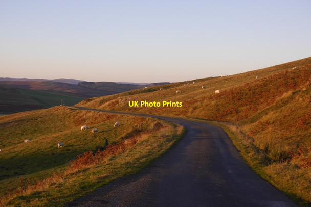 Photo 6"x4" The Hill Road from Roberton Wester Essenside c2015