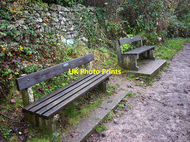 Photo 6"x4" Memorial benches above Red Rake Elmslack c2015